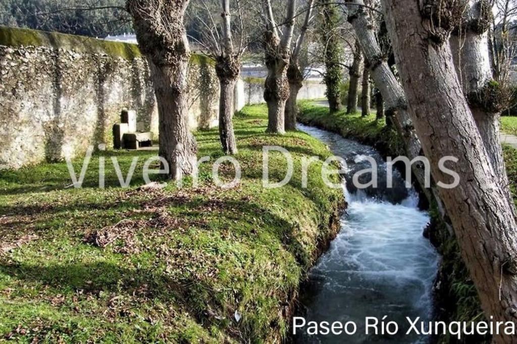 Viveiro Dreams Villa Eksteriør billede